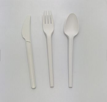 Cpla spoon tableware
